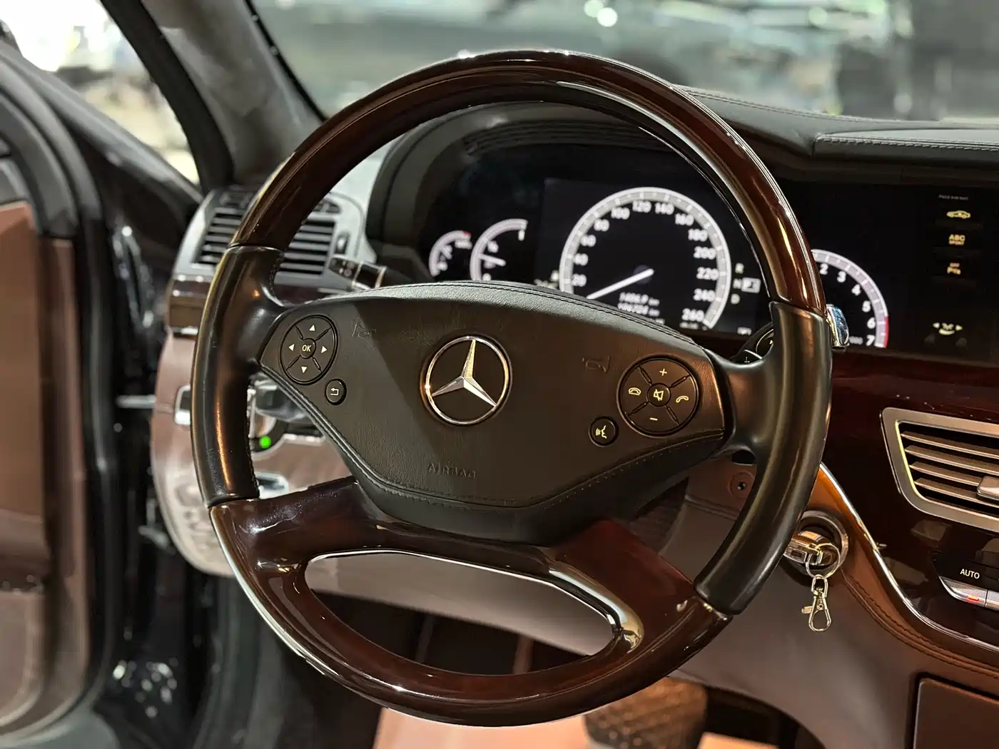 Mercedes-Benz S-Class 2010 S 600 L фото 10