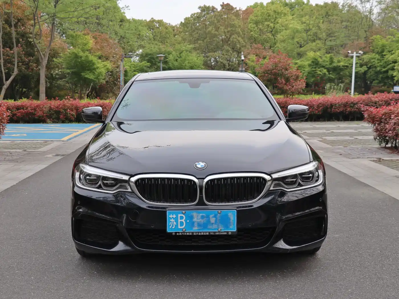 BMW 5 Series 2020 530Li Leading M Sport Package