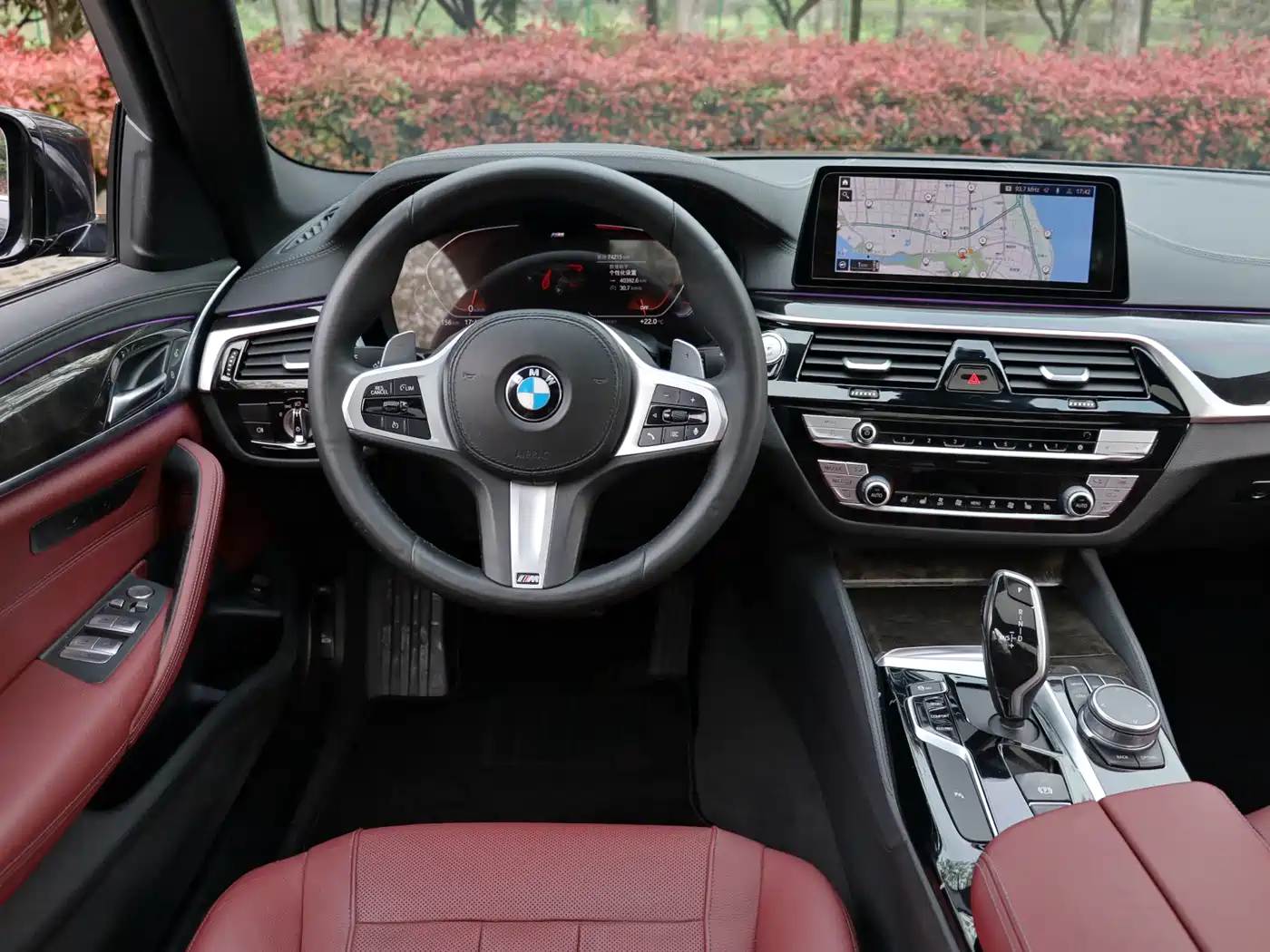BMW 5 Series 2020 530Li Leading M Sport Package фото 11
