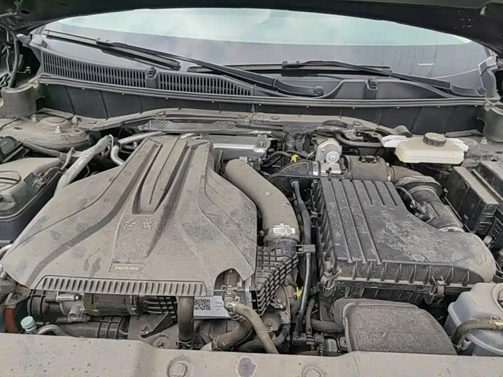 Photo 24 - Hongqi HS7 PHEV