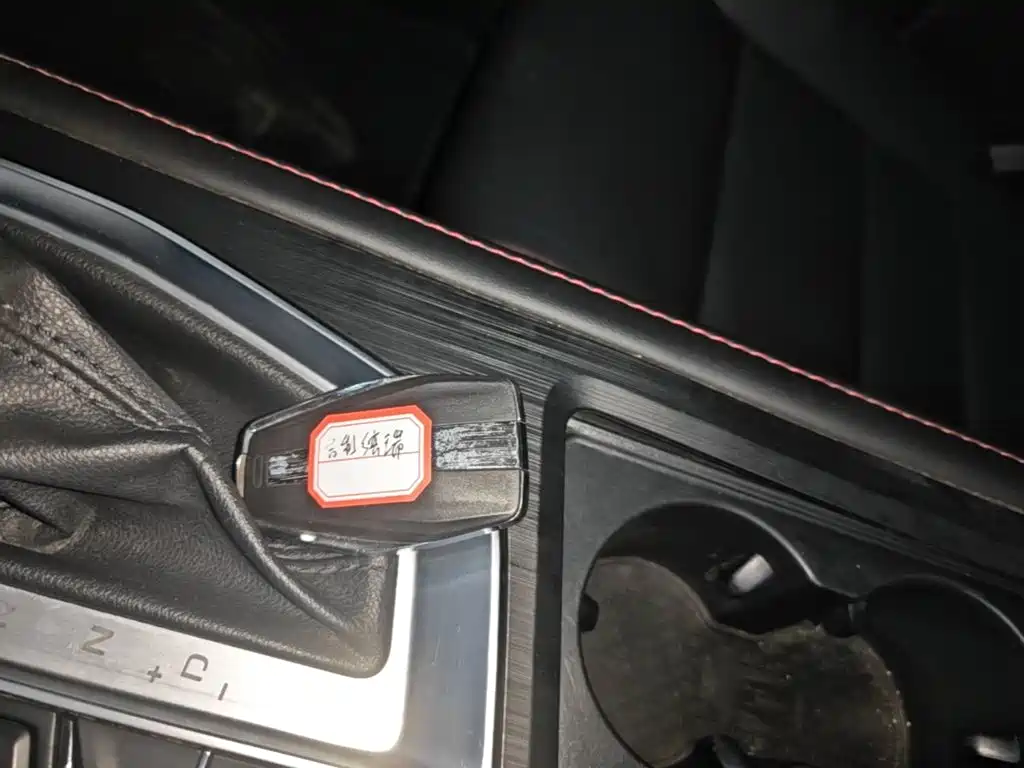 Фото 9 - Geely Binrui