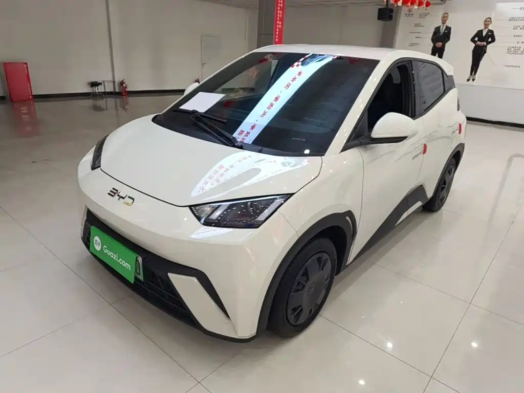 BYD Seagull 2024