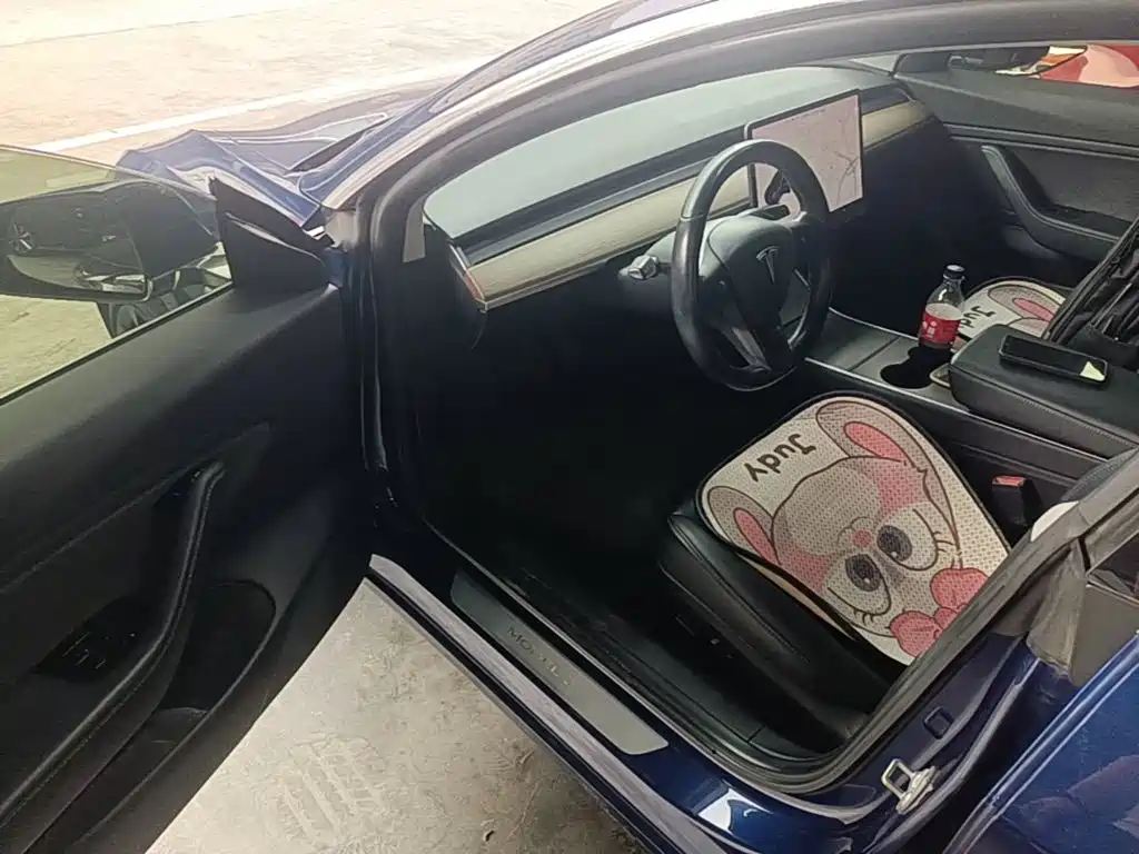 Фото 16 - Tesla Model 3 (Import)