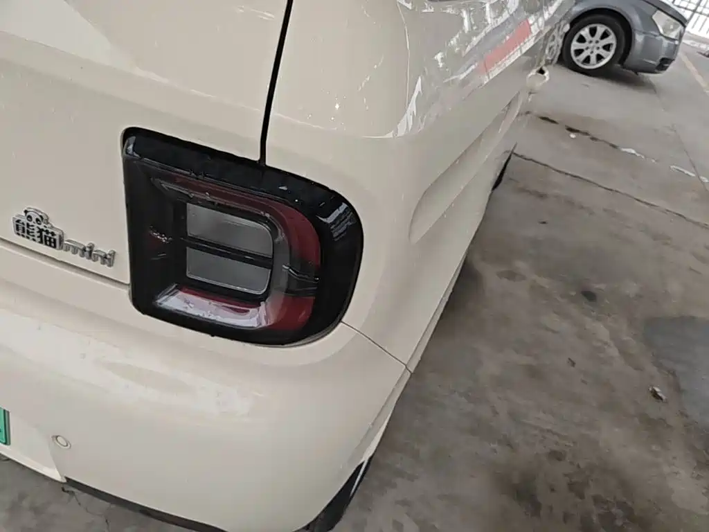 Geely Galaxy Panda 2026 2025 Panda mini 210km Vitality Bear