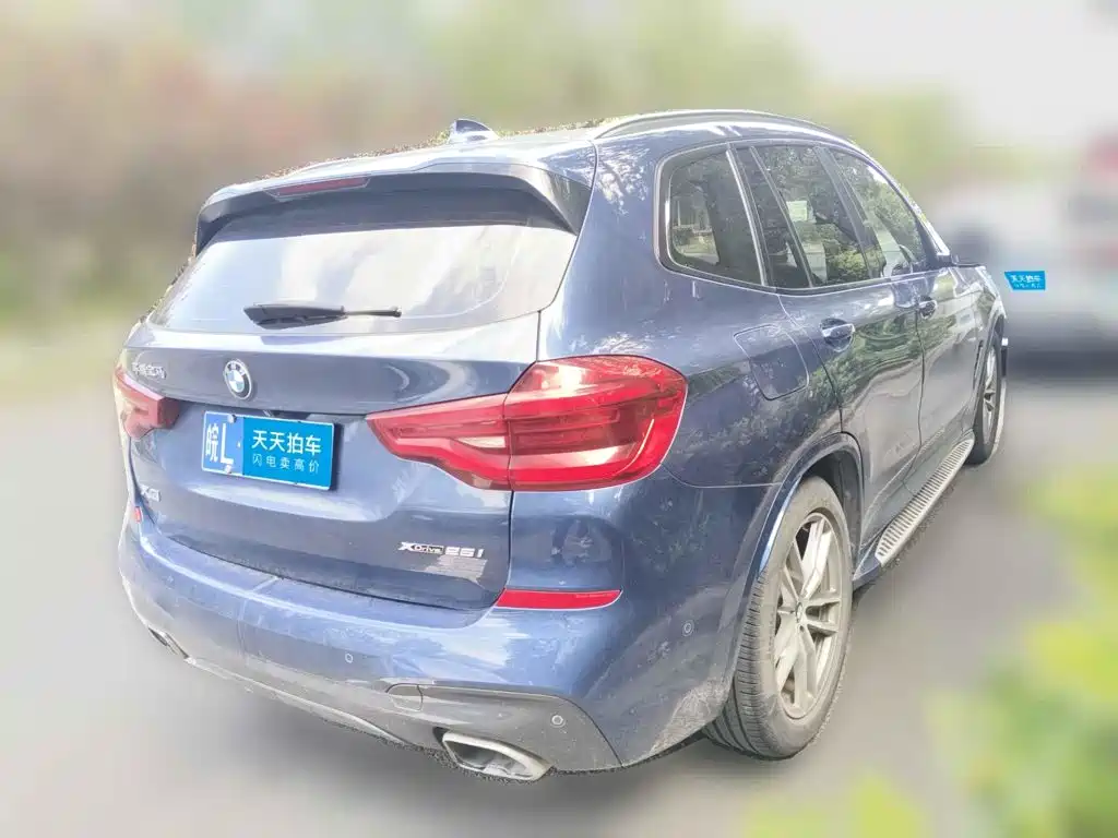 BMW X3 2018 2018 xDrive25i M Sport Package China V