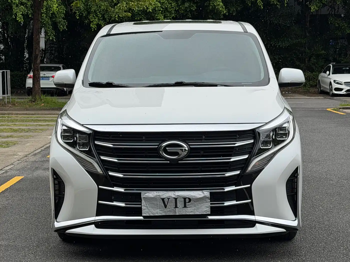 GAC Trumpchi Trumpchi M8 2025 2024 Leadershow Series 390T Premium Edition