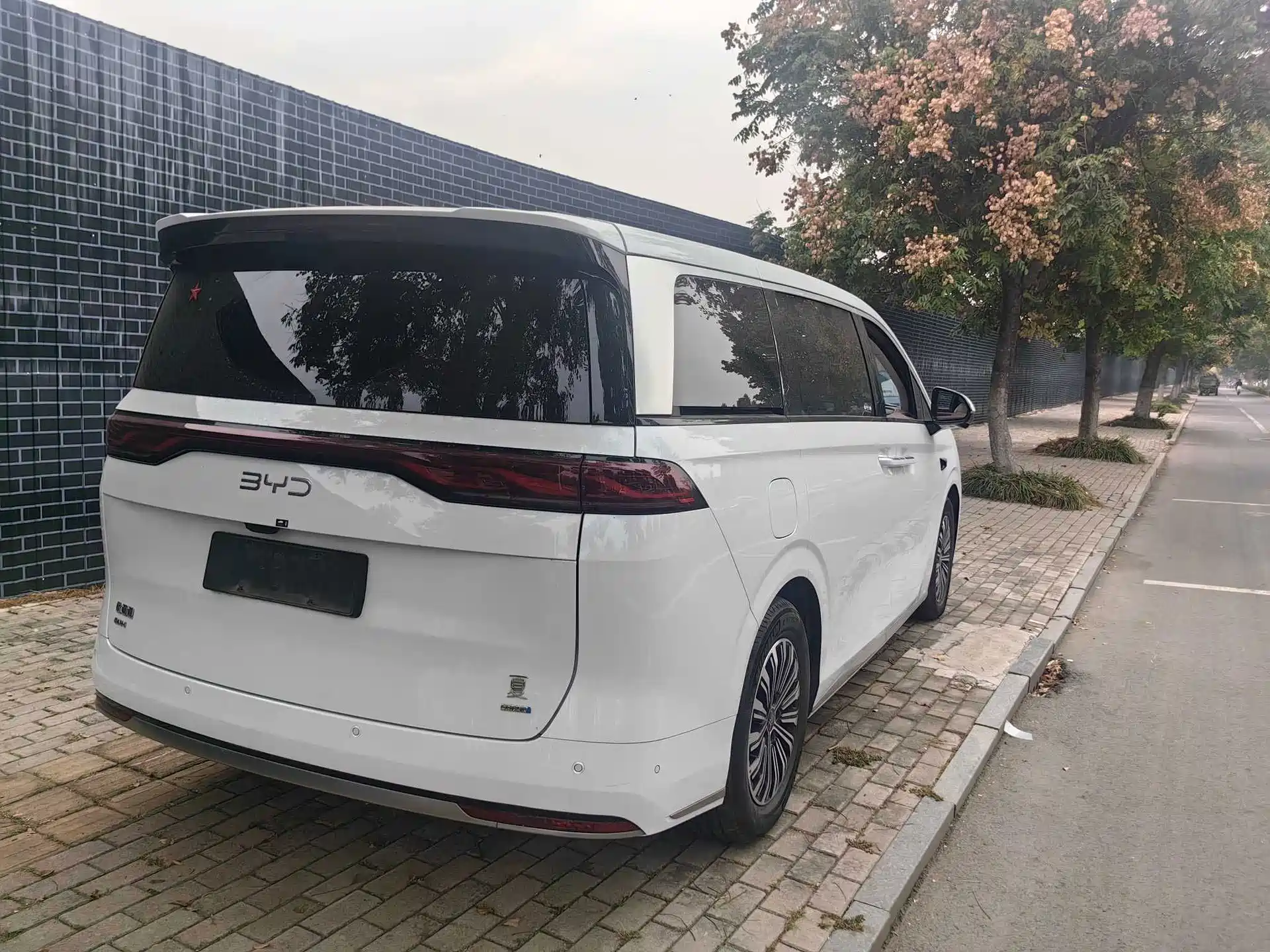 Фото 6 - BYD Xia