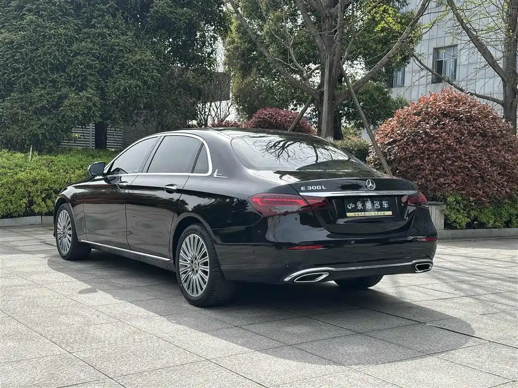 Mercedes-Benz E-Class 2023 E 300 L Luxury фото 15