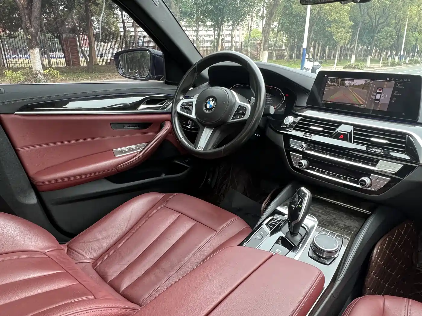 BMW 5 Series 2020 530Li Leading M Sport Package фото 15