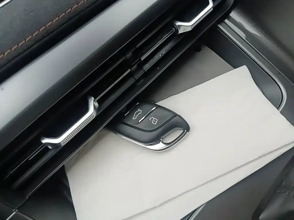 Roewe D5X DMH 2024 2024 Model 135 Technology Edition