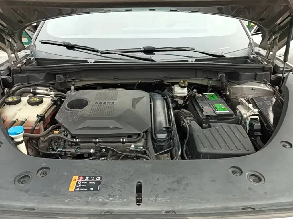 Фото 20 - Roewe RX5