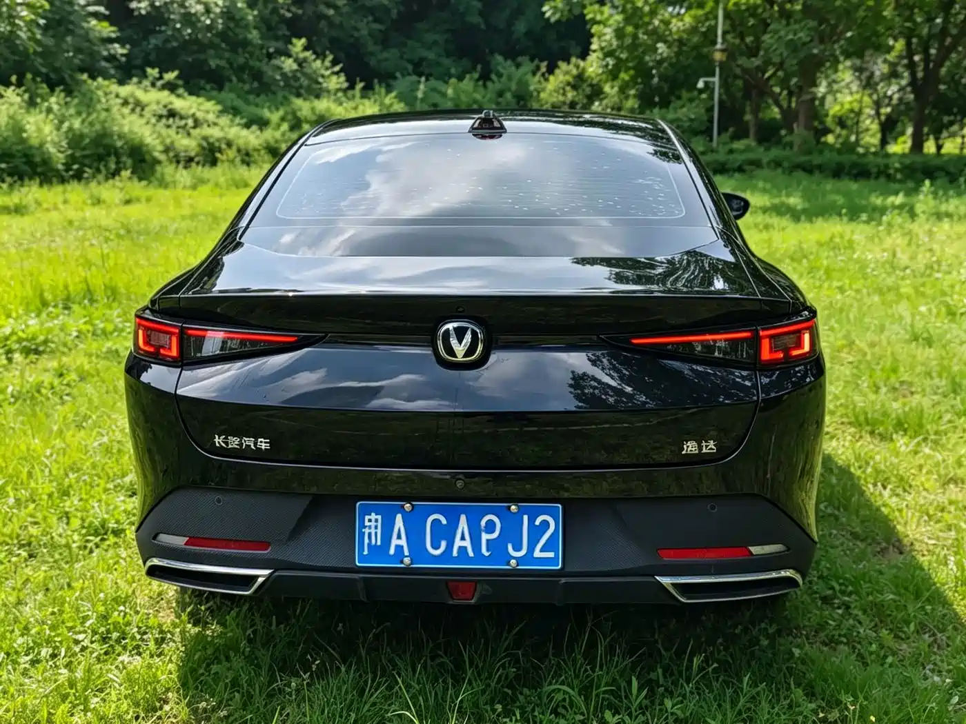 Changan Yida 2024 2023 Blue Whale NE 1.5T GDI DCT Exclusive
