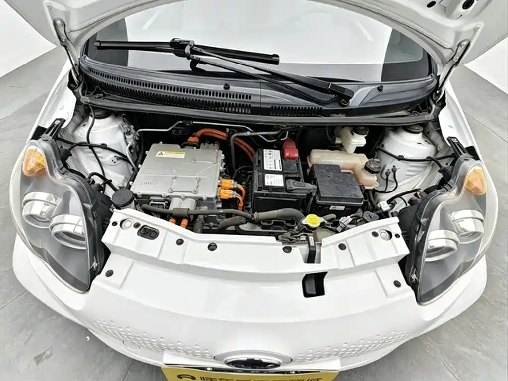 BYD e1 2019 2019 Joy Edition