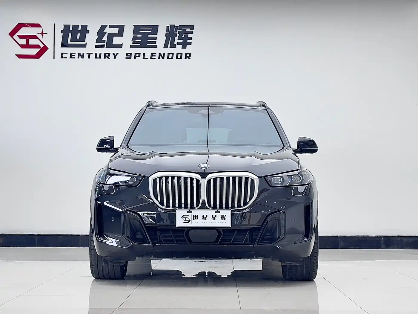 BMW X5 2023 xDrive 40Li M Sport Black Night Package фото 3