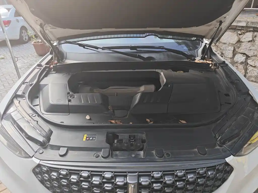 WEY VV6 2020 2020 2.0T 2WD Smart Enjoy+