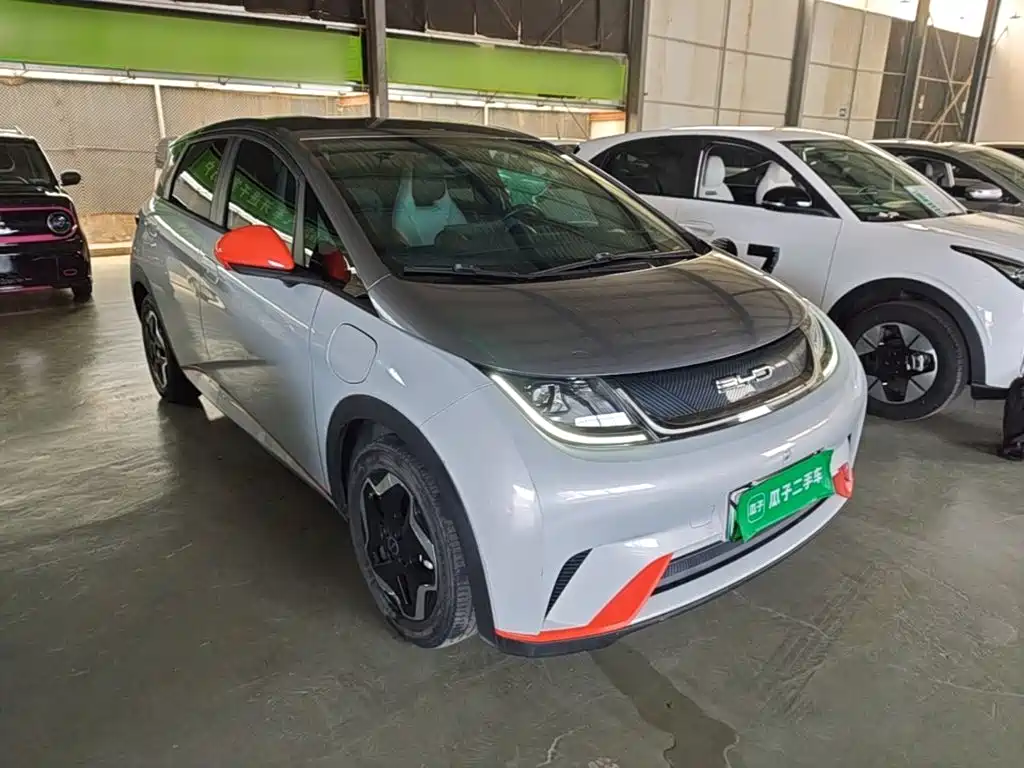 Фото 4 - BYD Dolphin
