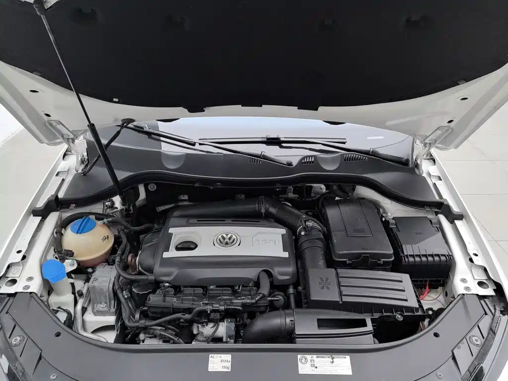 Volkswagen Magotan (Import) 2012 2012 Wagon 2.0TSI Comfort