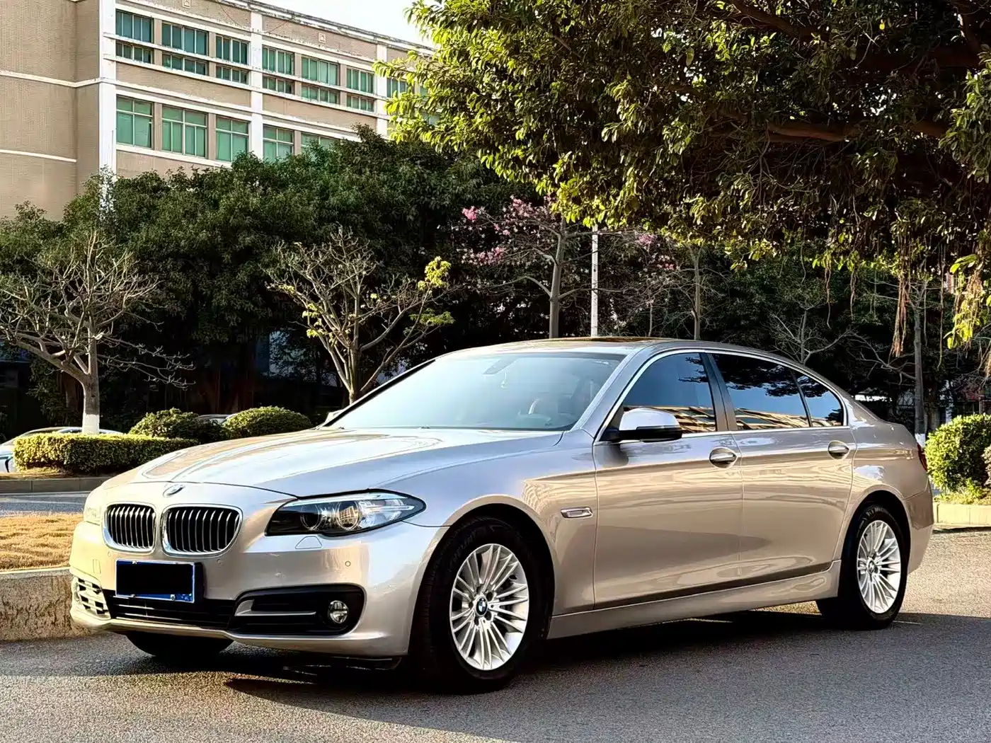 BMW 5 Series 2014 525Li Leading фото 2