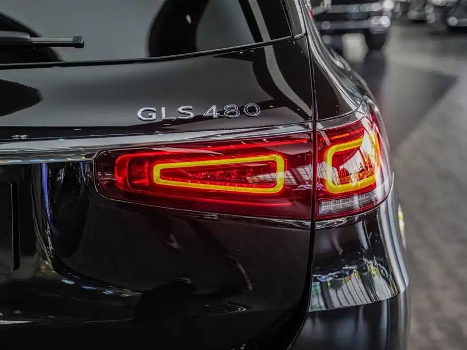 Mercedes-Benz Maybach GLS 2022 GLS 480 4MATIC фото 19