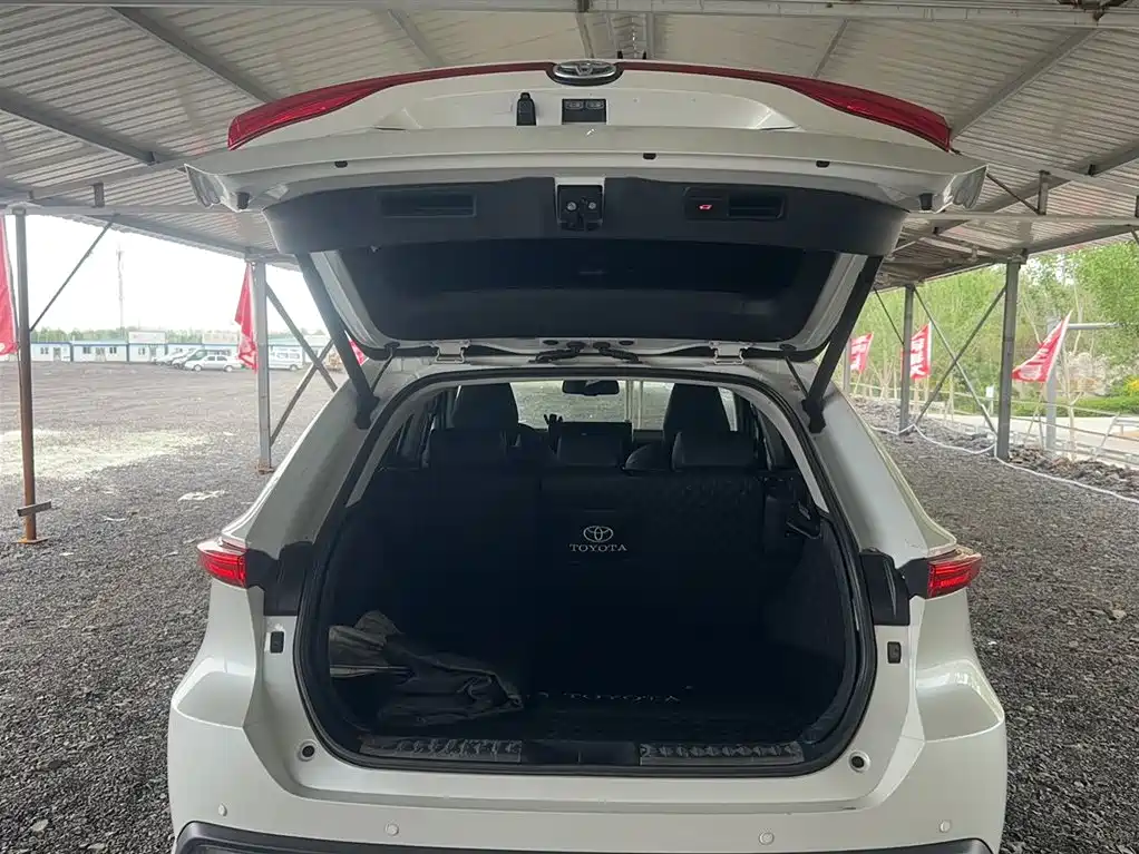 Toyota Lingfang HARRIER 2023 Hybrid 2.5L CVT 4WD Premium Edition фото 19