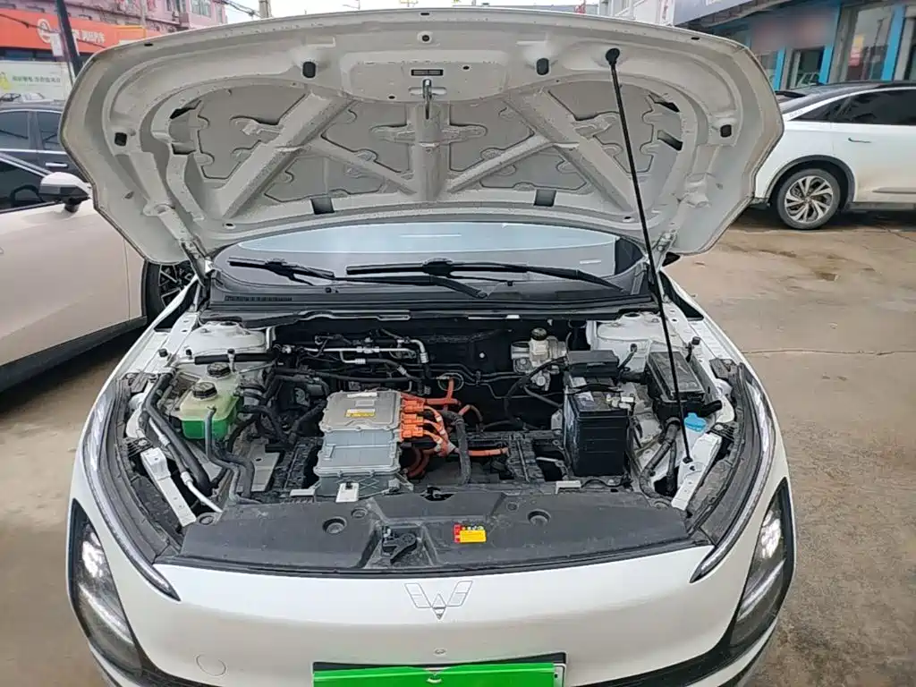 Фото 20 - Wuling Motors Wuling E5