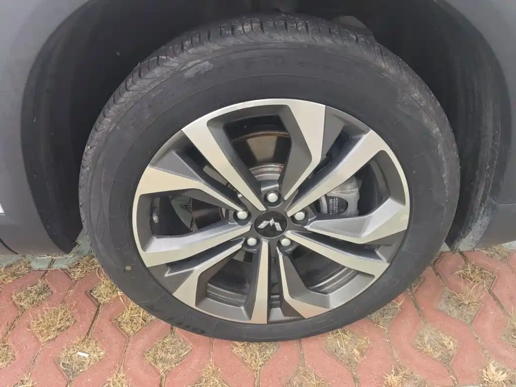 Wuling Motors Wuling Xingchen 2023 2022 2.0L DHT Electric Speed Edition