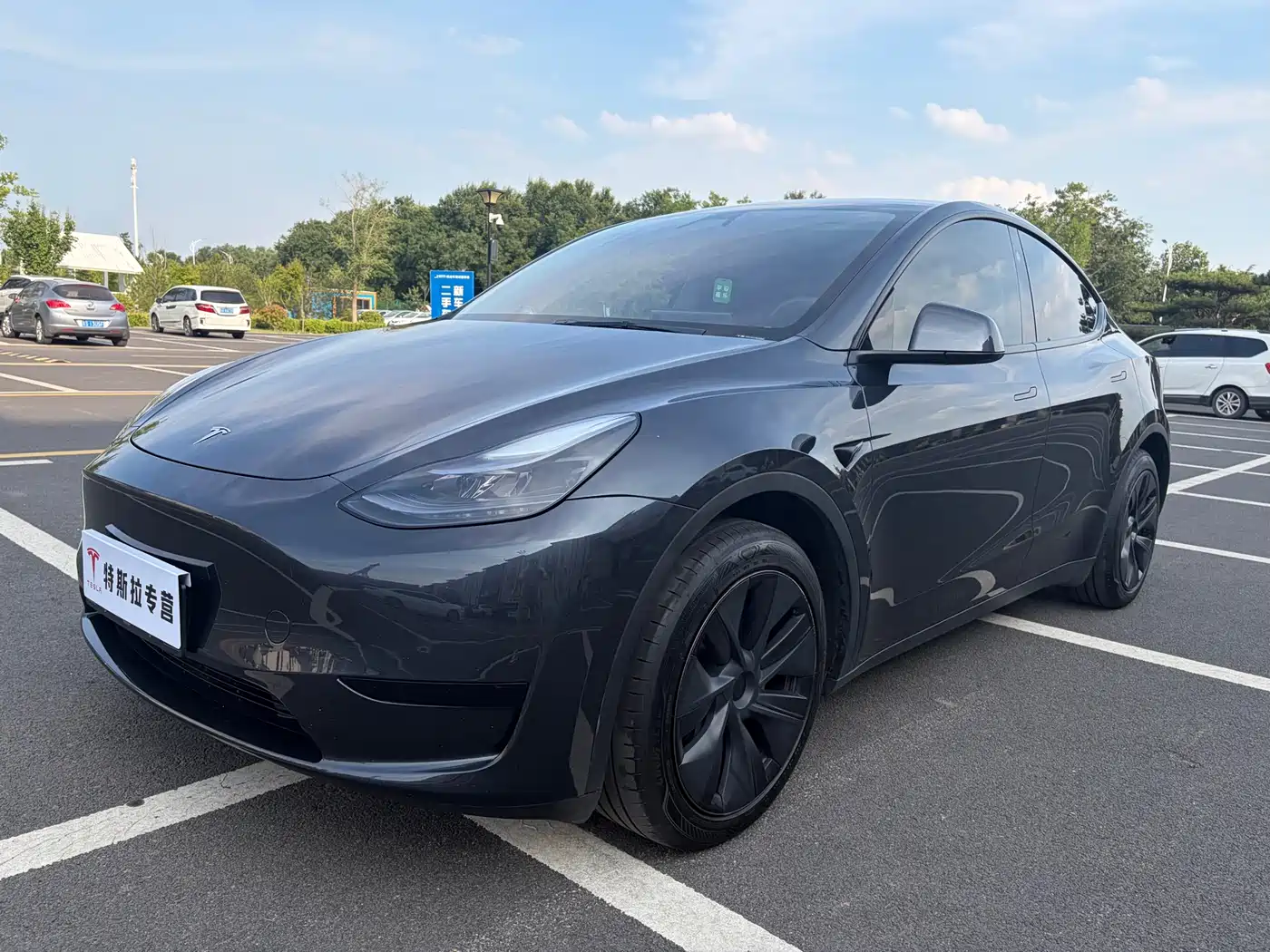 Tesla Model Y 2024 Rear-Wheel Drive Version