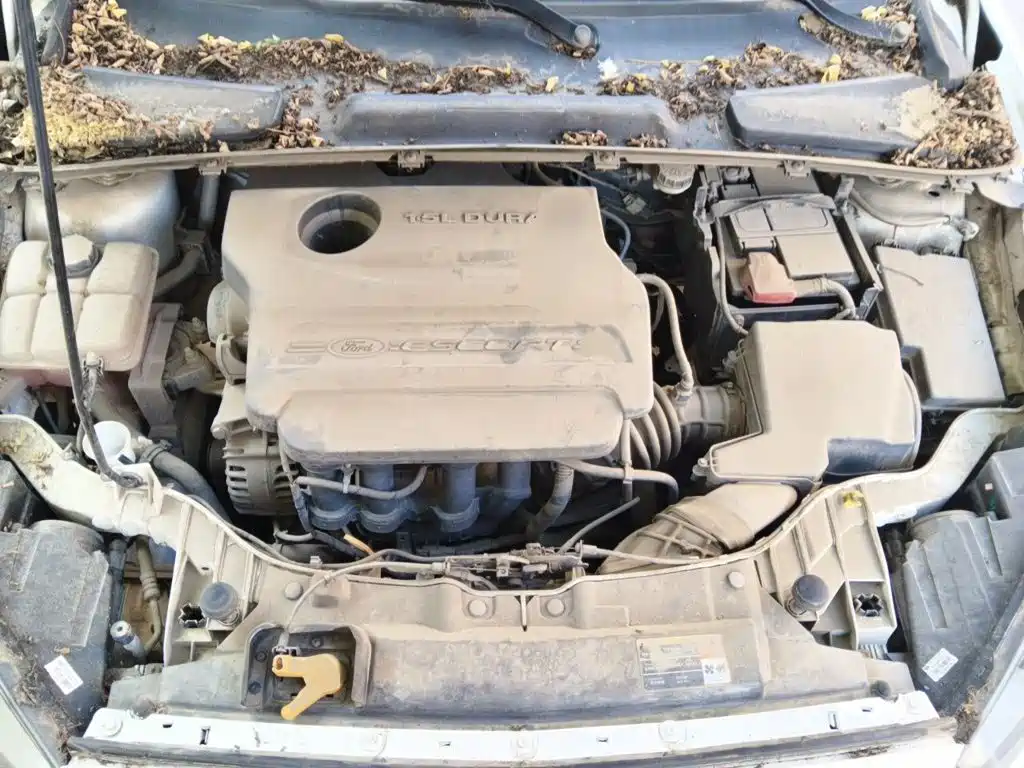 Photo 16 - Ford Escort