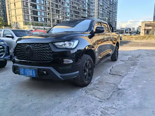 Great Wall Pao 2019 2.0T Commercial Version Manual Diesel 2WD Elite Long Box GW4D20M