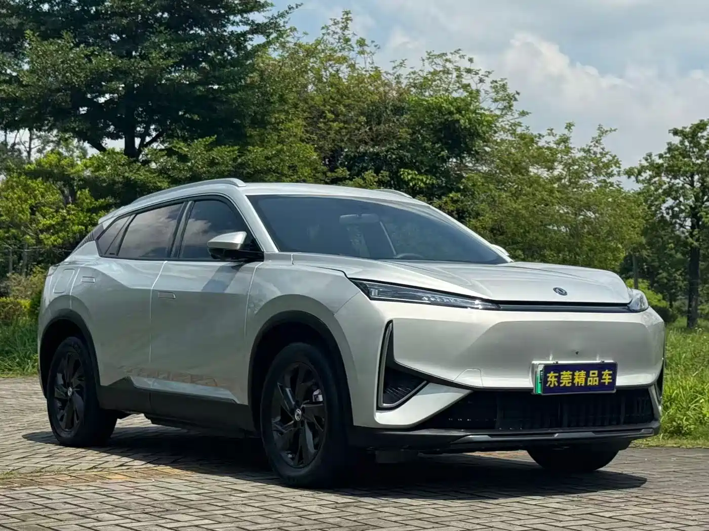DONGFENG FENGSHEN L7