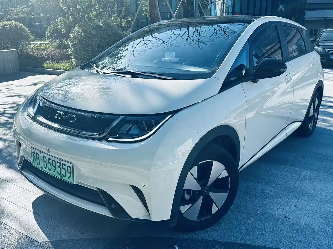 BYD Dolphin 2023 420km Fashion Edition