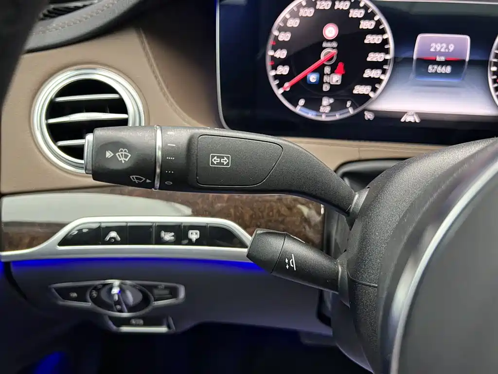 Mercedes-Benz S-Class 2020 S 450 L 4MATIC Collector's Version фото 26