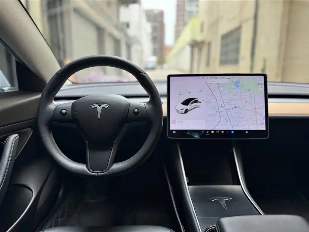 Tesla Model 3 2019 Standard Range Rear-Wheel Drive Upgrade фото 9