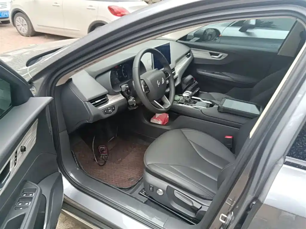 Hongqi E-QM5 2024 Model 610km PLUS фото 15