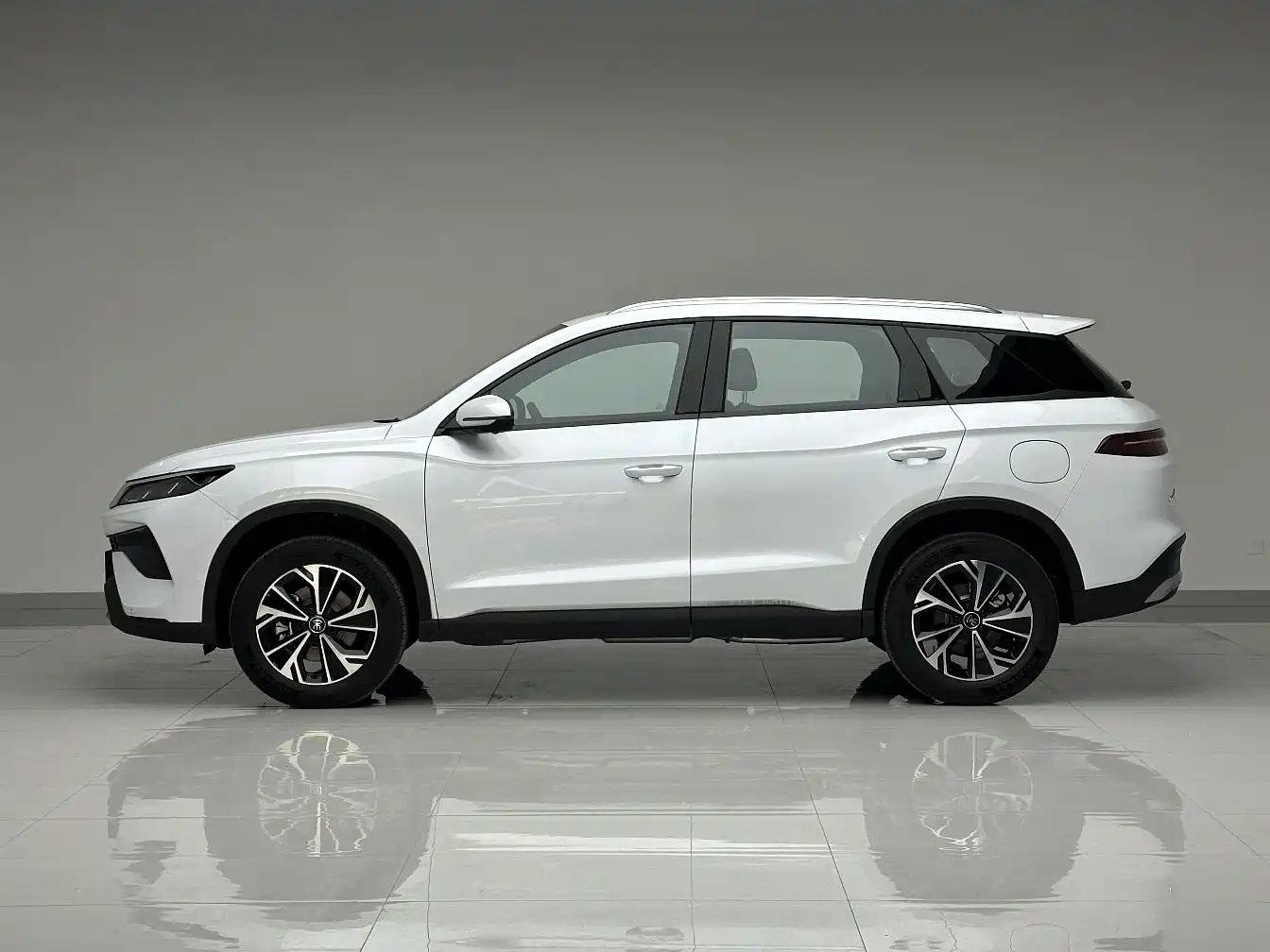 BYD SONGJIANG NEW ENERGY