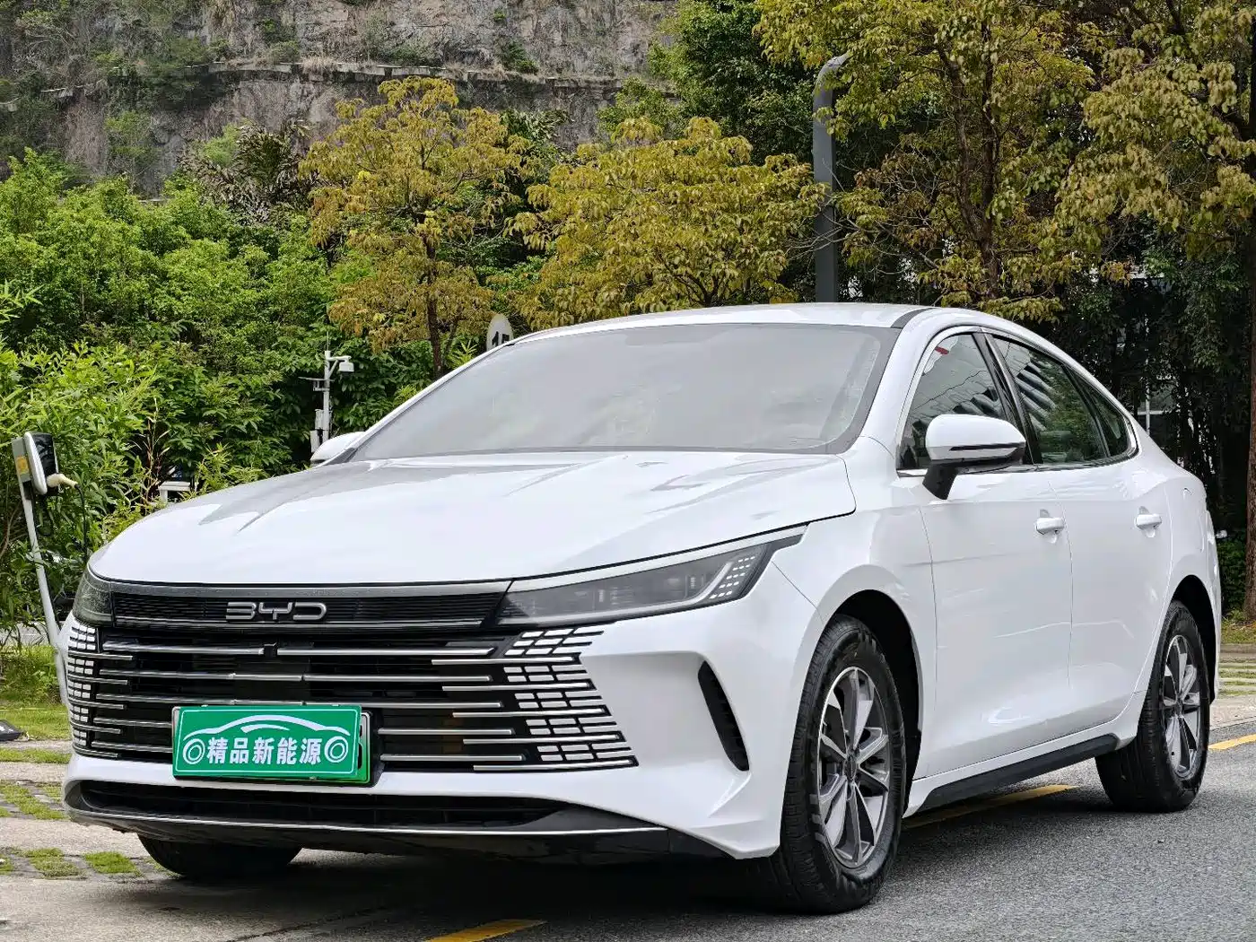 BYD Destroyer 05 2024 Glory Edition DM-i 55KM Luxury