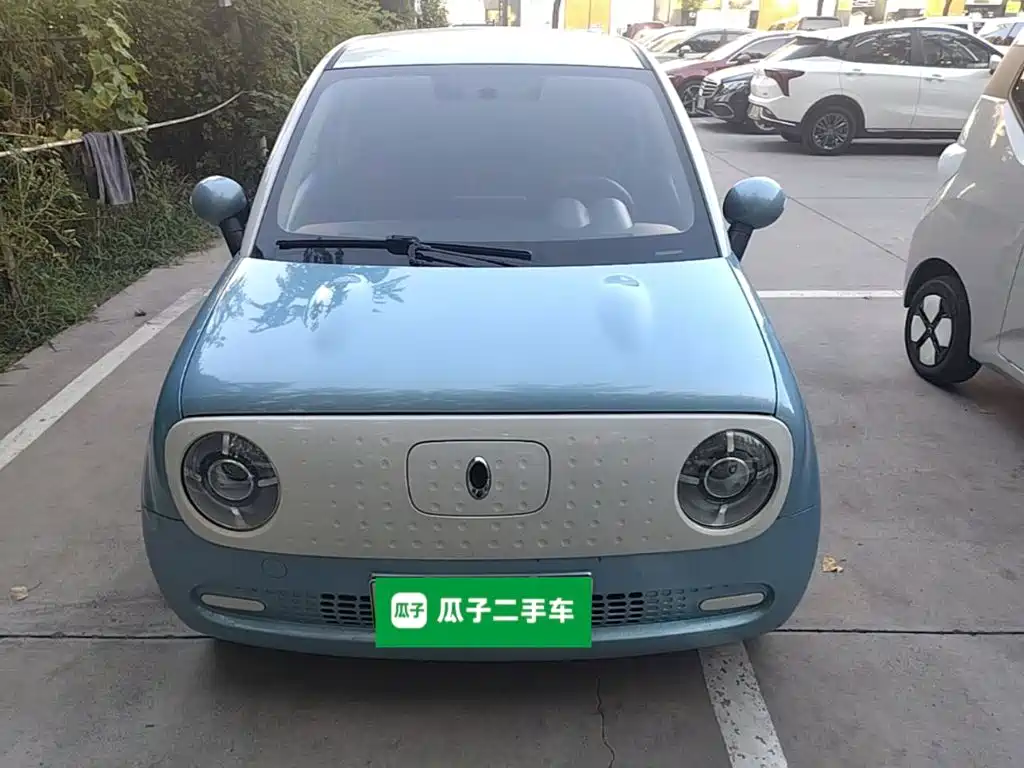 Ora Black Cat 2020 2019 Model 351km Smart Fun Edition