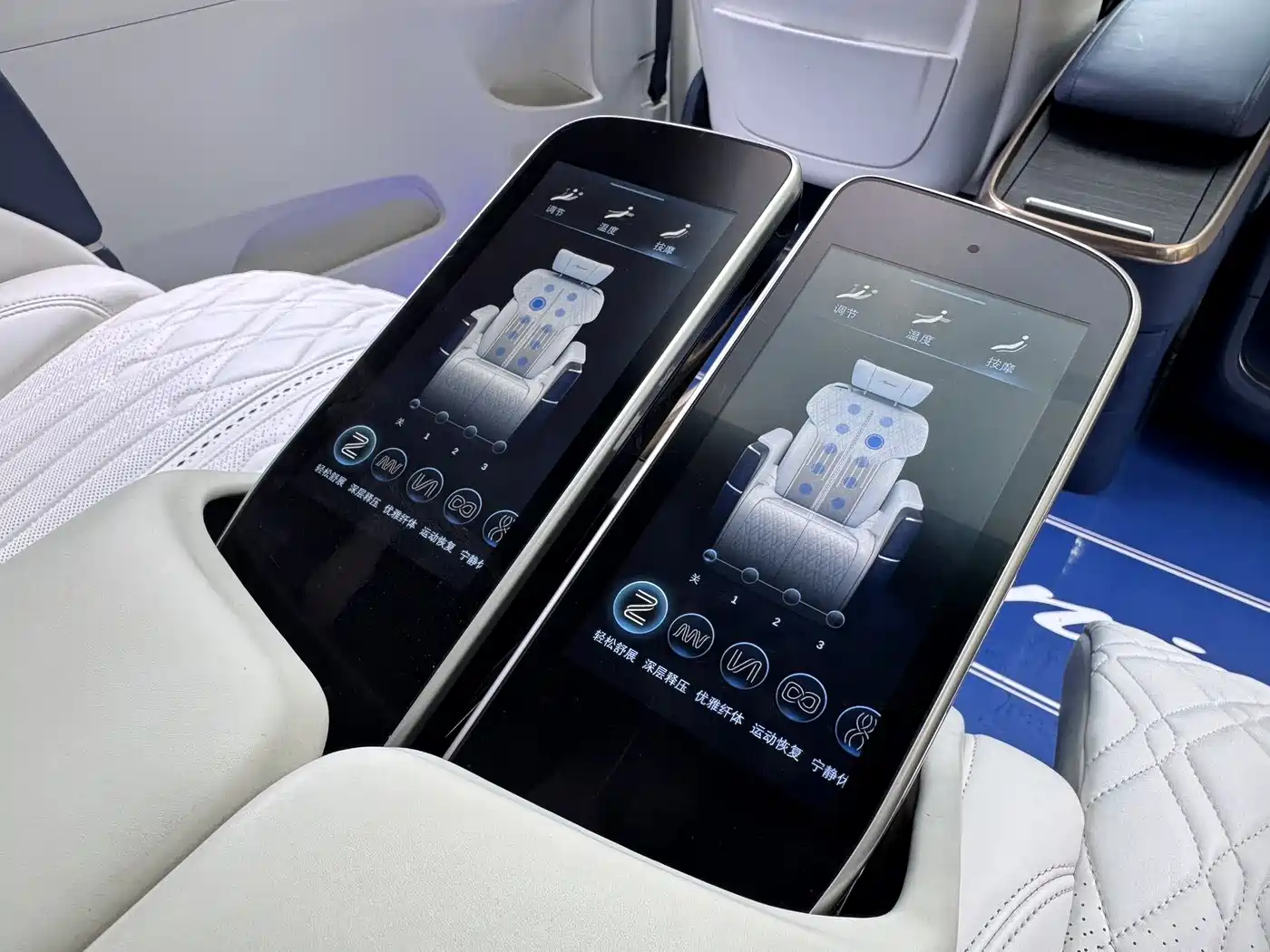 Buick GL8 2020 Avenir Four-Seat Prestige Edition фото 17
