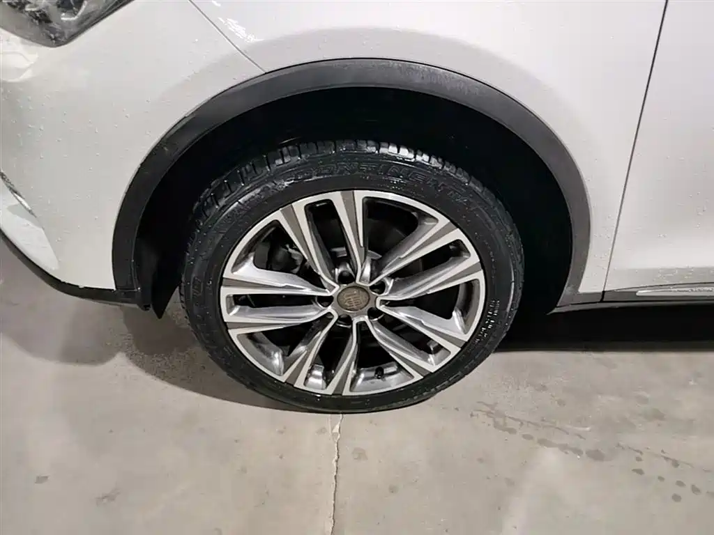 BYD Tang 2018 2.0T Automatic Smart Connection Noble Edition 7-Seater China V фото 22