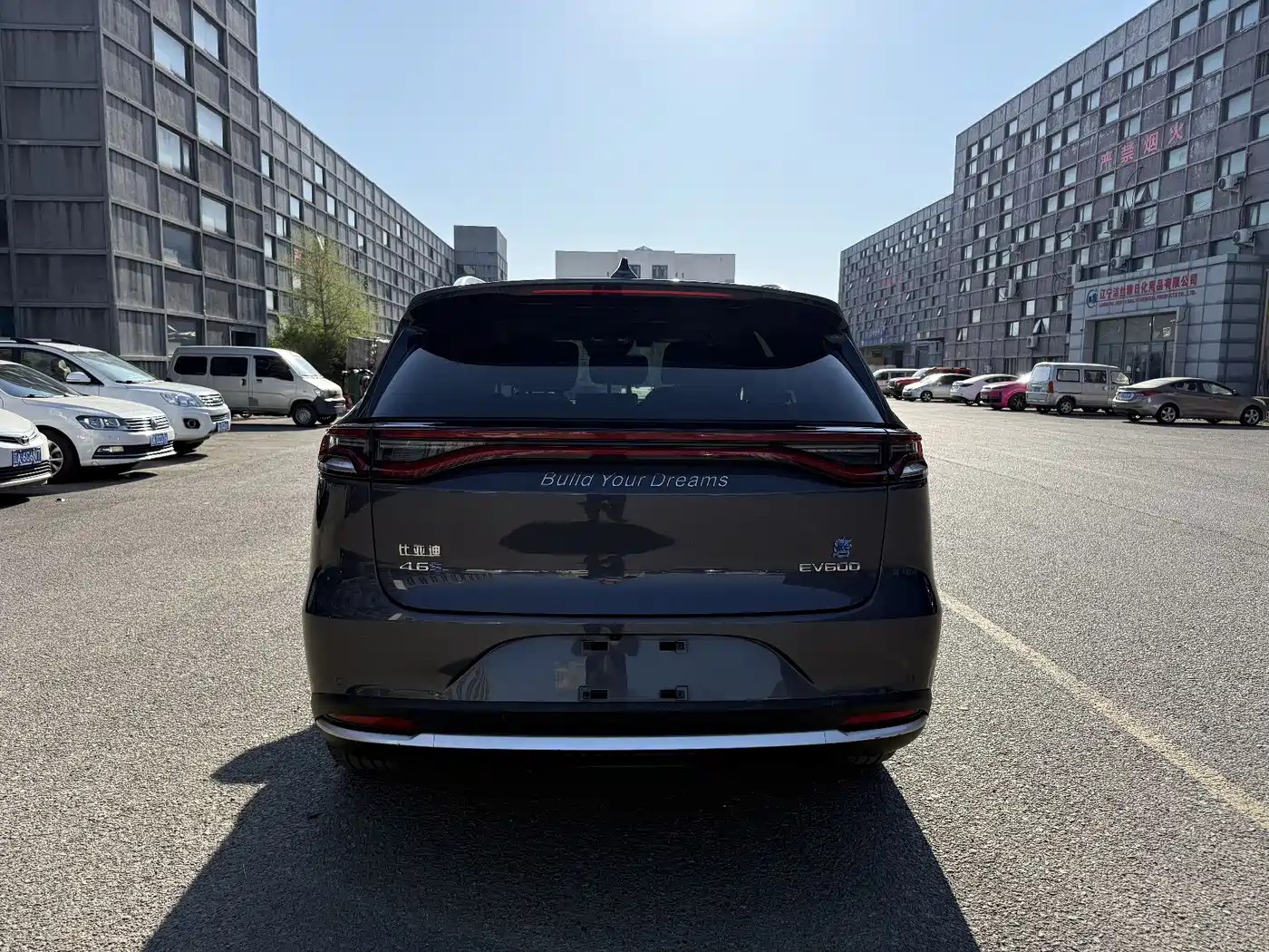 BYD Tang New Energy 2019 EV600D 4WD Smart Connect Genesis Edition фото 16