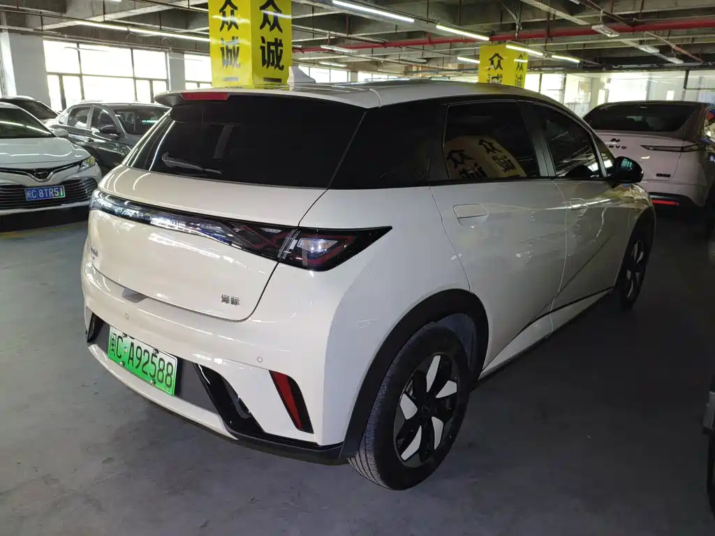 Фото 7 - BYD Dolphin