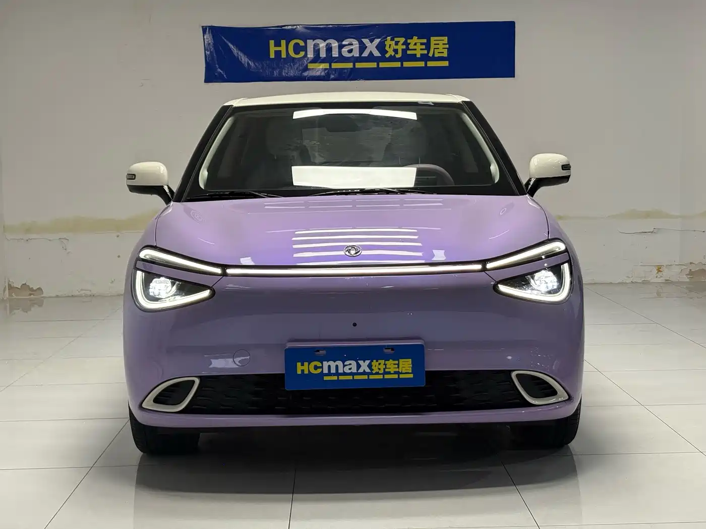 Dongfeng Yipai Nano 01 2025 2024 430 Plus Smart+