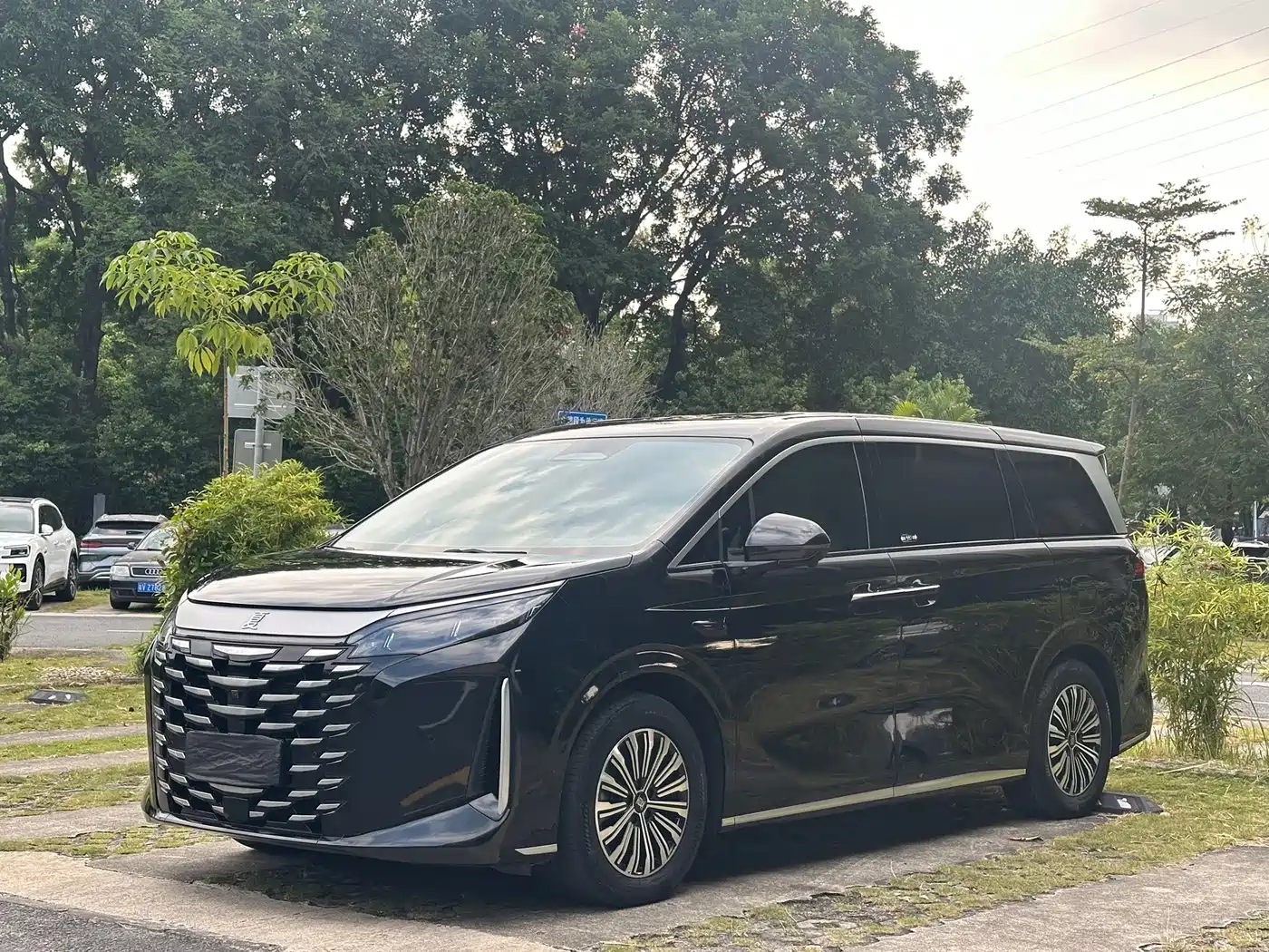 BYD Xia 2025 2025 DM-i 1.5T 180km Excellence