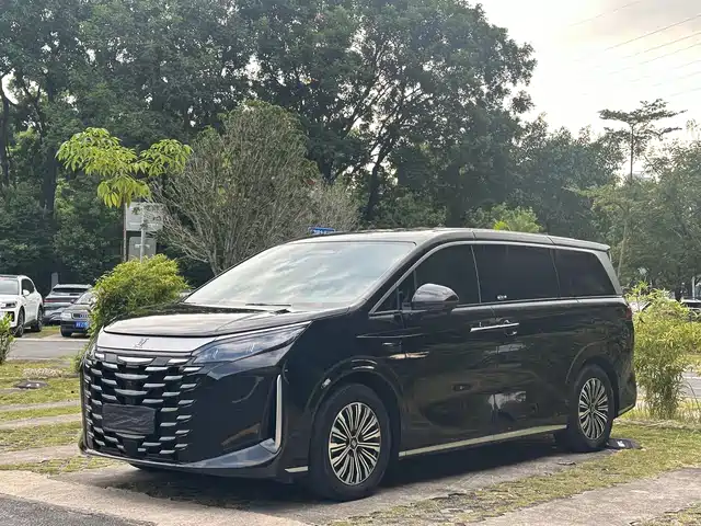 BYD XIA