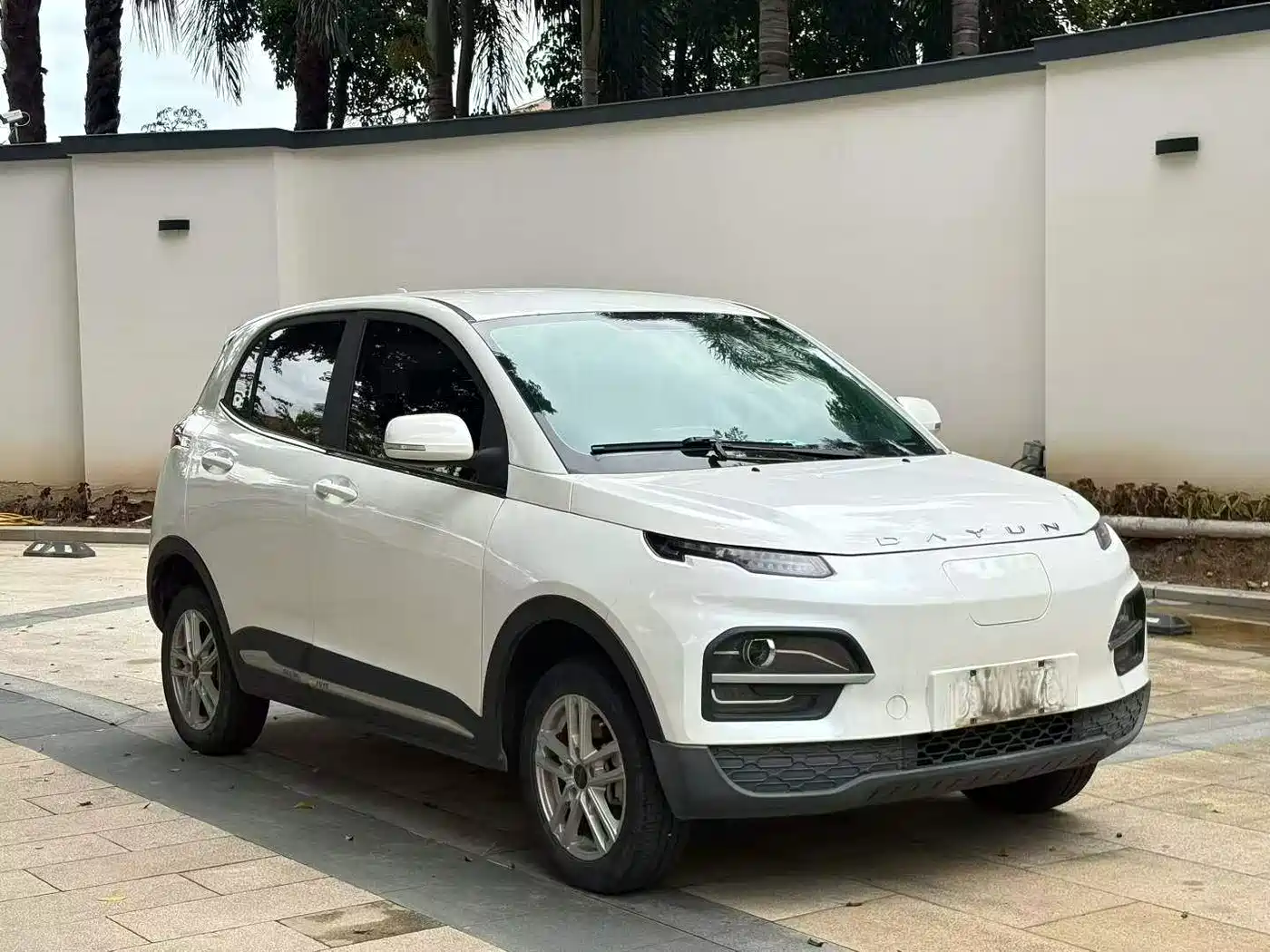 Dayun Yuehu 2024 2023 300 Standard Edition