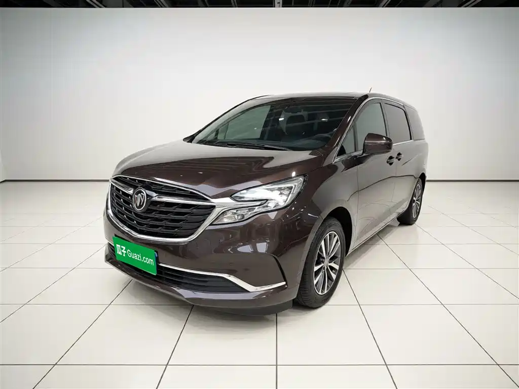 Buick GL8 2021 ES Landlord 653T Premium фото 2