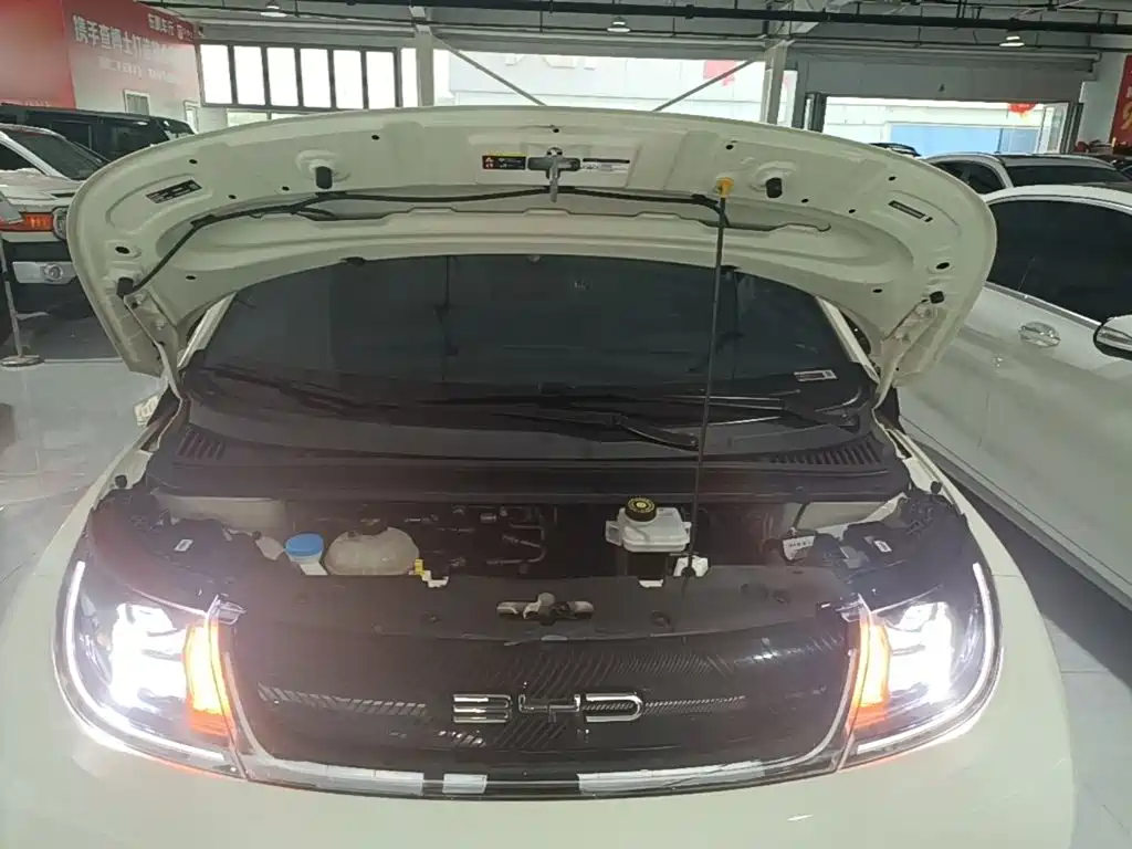 Фото 20 - BYD Dolphin