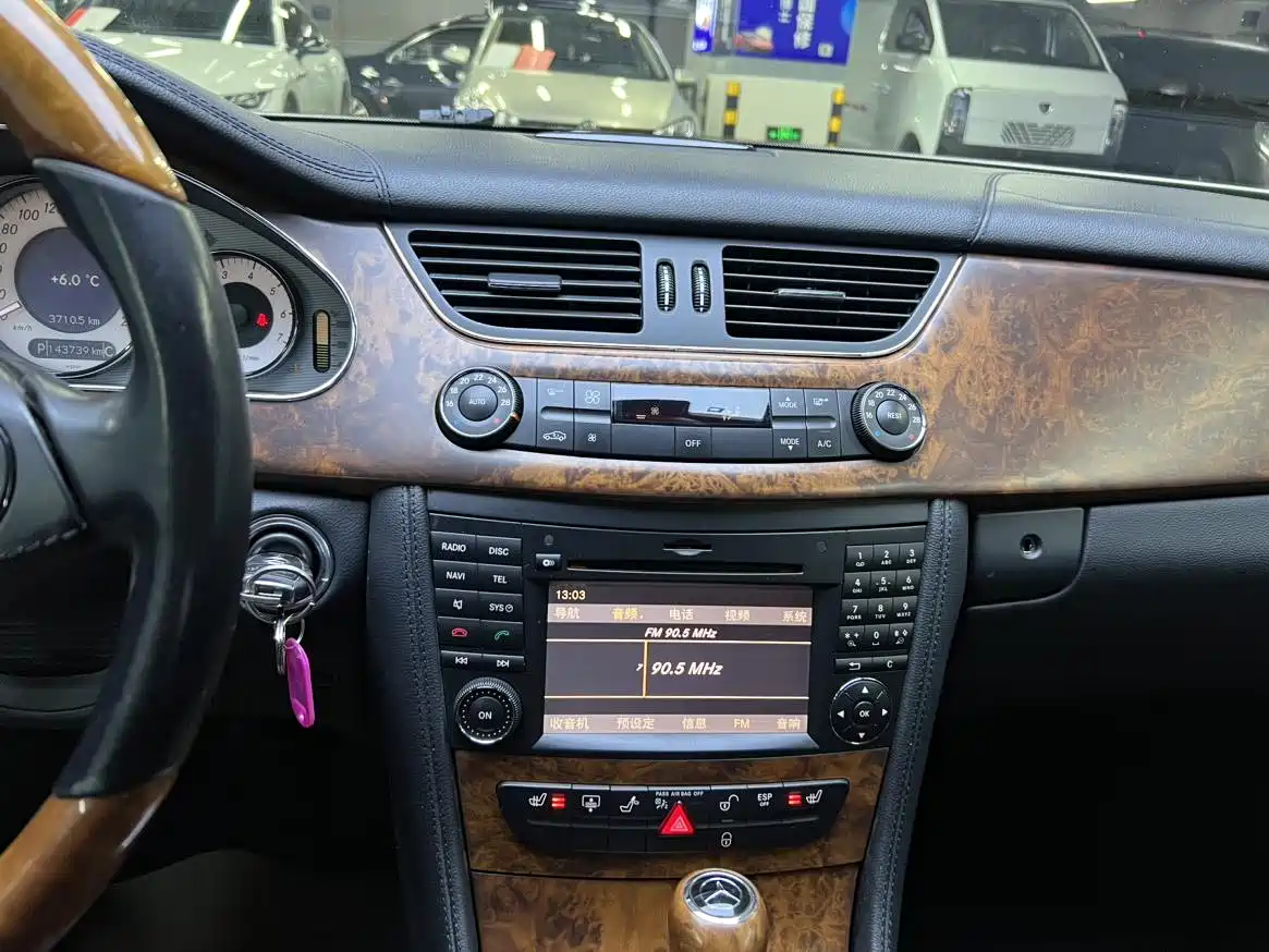 Mercedes-Benz CLS 2010 2009 CLS 300