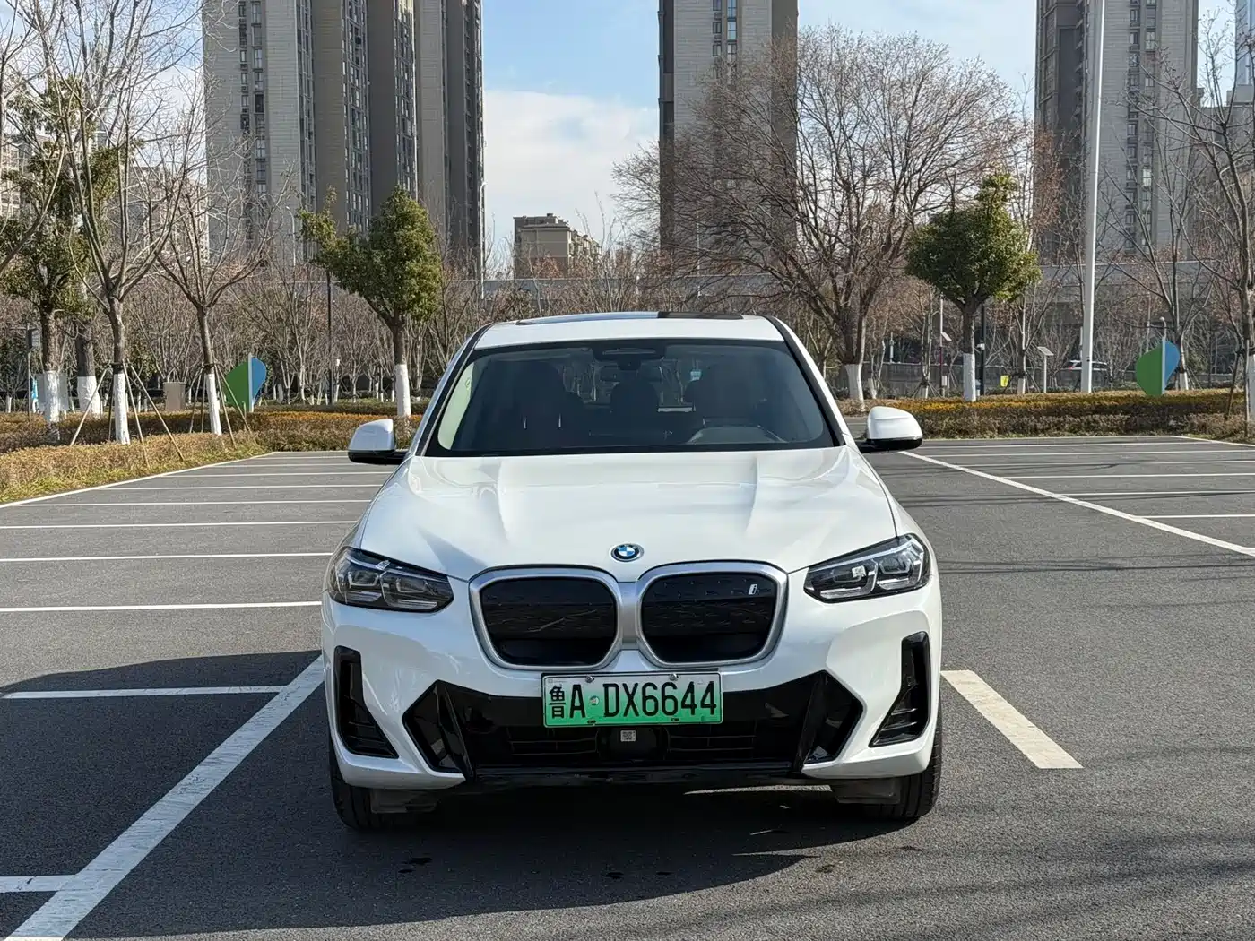 BMW iX3 2024 Leading Edition фото 2