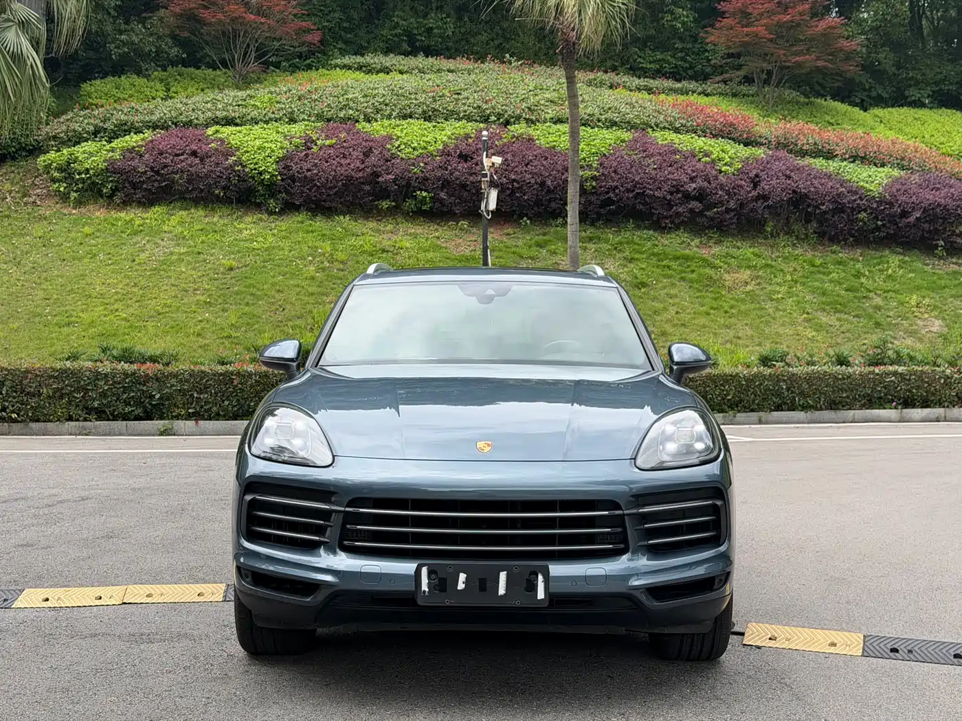 Porsche Cayenne 2019 Cayenne 3.0T фото 2